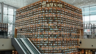 Thumbnail of post image 179